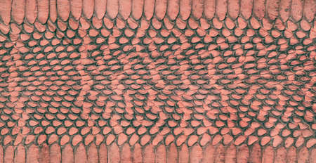 The texture of the snake leatherの写真素材