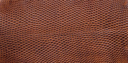 The texture of the brown leather of a crocodileの写真素材