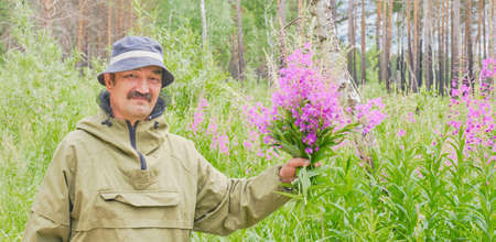 Senior man in mosquito suit holds bouquet of fireweed in his hand and looks into camera on background of blossoming meadow and forest Banner Chamaenerion angustifolium, Ivan teaの写真素材