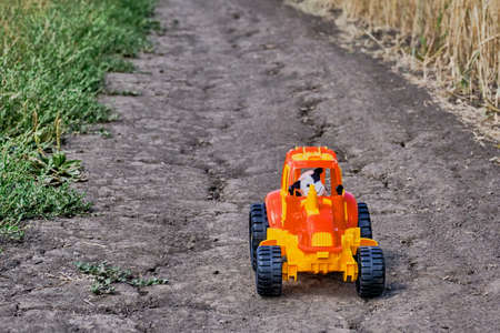 Red and yellow toy tractor with toy cow as tractor driver on a roadの写真素材