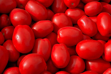 Red plum tomatoes background. Vegetable healthy foodの写真素材
