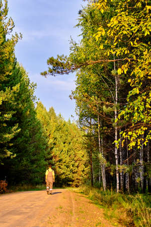 Middle-aged man in work overalls lit by sunlight walks away along a forest roadの写真素材