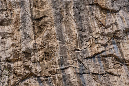 Rock texture with gray brown stripesの写真素材