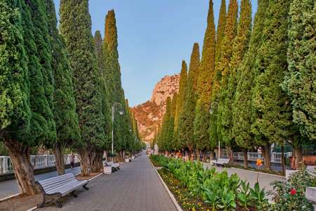 Cypress alley in town Simeiz, big Yalta, South Coast of Crimea.の写真素材