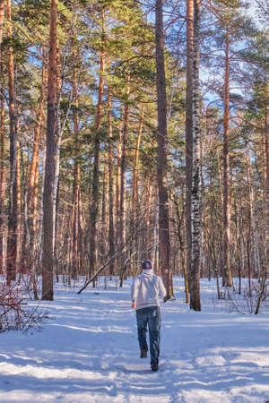 A man in a light sweatshirt, blue jeans and a knitted hat runs on a snowy road in a mixed forest on a sunny day.の写真素材