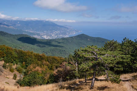 Impressive landscape. Crimean mountains and cloudy sky. View from the Ai Petri plateau. In the foreground are beautiful coniferous trees. Mountain pine.の写真素材