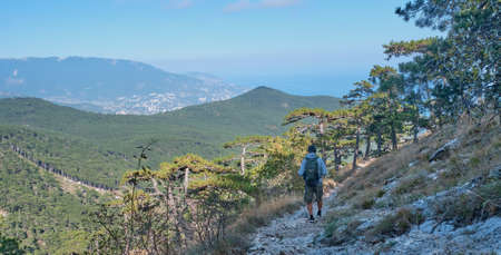 Beautiful landscape of the southern Crimea. Scenic slope of Ai Petri mountain. A man with a backpack is walking along the rocky mountain trail.の写真素材