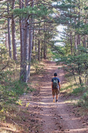 A man with a backpack is walking along the trail in a beautiful autumn forest.の写真素材