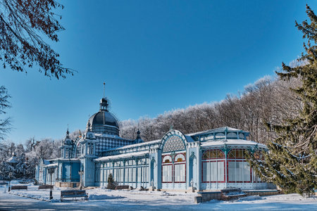 Zheleznovodsk, Russia - January 21, 2021: Building of the Pushkin Gallery on a sunny winter day....
