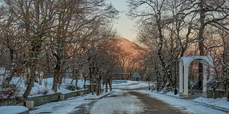 Winter evening landscape. Alley in the town snow-covered park. Zheleznovodsk, Russia. Bannerの写真素材