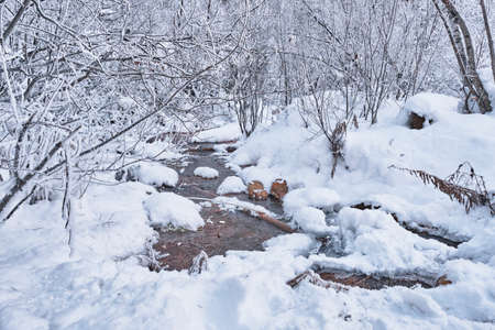 Beautiful winter landscape. A mountain stream running in a snow-covered forest. Elbrus region, Russia.の写真素材