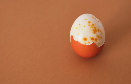 Semi-purified painted orange egg on a brown background. Abstract composition.の写真素材