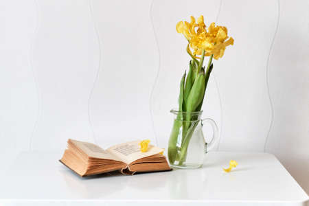 Three withered yellow tulips with fallen petals in a glass vase, an open old small book.の写真素材