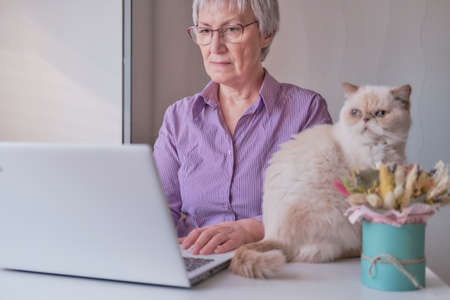 Senior woman working on laptop at home or uses some online services or buys somethingの写真素材