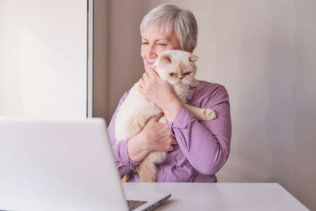 Senior woman sitting at her laptop and holding a cute beige cat in her arms.の写真素材