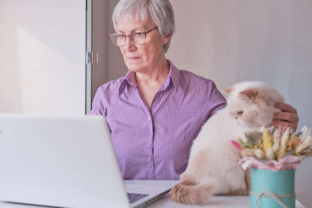 Senior woman working on laptop at home or uses some online services or buys somethingの写真素材