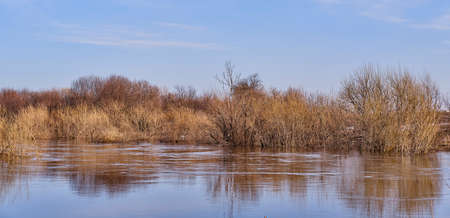 Spring flood on the Siberian river Vagai, Russia.の写真素材
