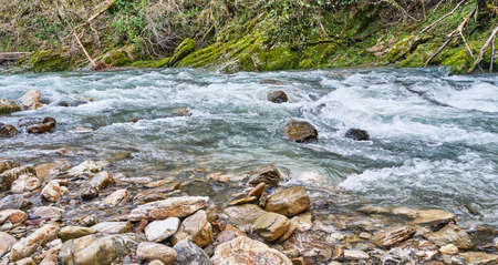 Mountain River Khosta , flowing in the yew and boxwood grove of the Caucasian Biosphere Reserve, Russiaの写真素材