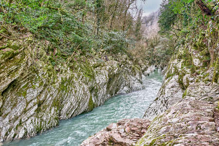 Mountain River Khosta , flowing in the yew and boxwood grove of the Caucasian Biosphere Reserve, Russiaの写真素材