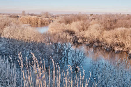 Siberian river Vagai in the early morning. The grass and bushes are covered with frost.の写真素材