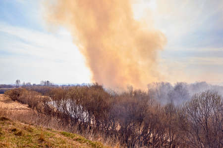 Clouds of colorful smoke fly across the sky. Grassroots Wildland Fire.の写真素材