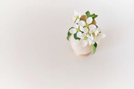A beautiful a sprig of apple tree with white flowers in a wood vaseの写真素材