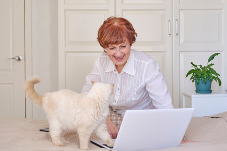 Senior woman using a laptop at home. Happy retired person shopping online.の写真素材