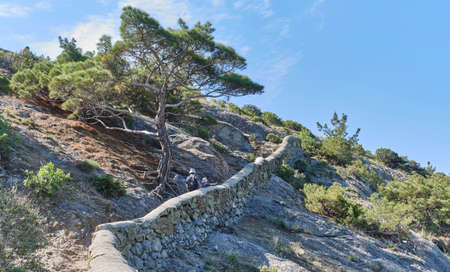 A boy and his grandfather walking on the scenic Golitsyn trail. National botanical reserve New...