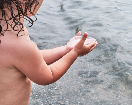Little baby girl are carefully holding a small transparent jellyfishの写真素材