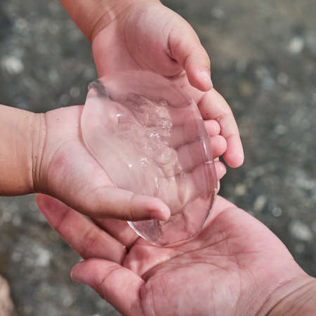 Childs hands are giving into hand of mother a small transparent jellyfishの写真素材