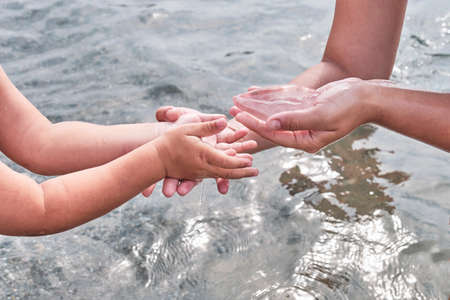 Mothers hands are giving carefully into hands of child a small transparent jellyfishの写真素材