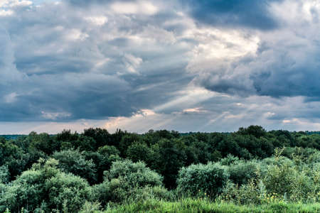 Summer wildlife scenery with dramatic sky.の写真素材