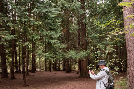 Mature man with backpack taking photos giant thujasの写真素材