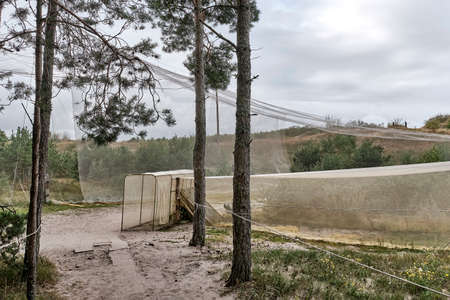 Mesh funnel as trap for birds. Biological station for ringing of birds and studying its migrationの写真素材