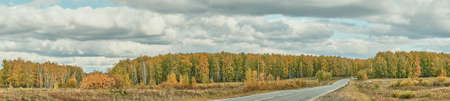Beautiful rural landscape with road running away into distance among colorful forest and fieldsの写真素材