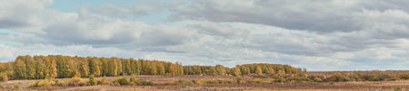 Beautiful rural landscape with colorful forest and fieldsの写真素材