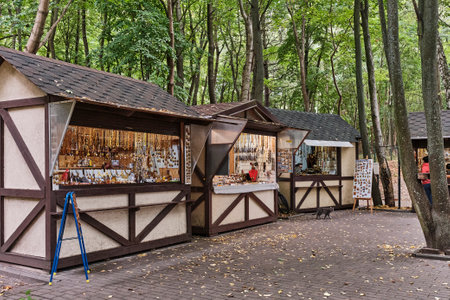 In the park there are wooden stalls with Baltic souvenirs for tourists, amber jewelry, magnets.のeditorial素材