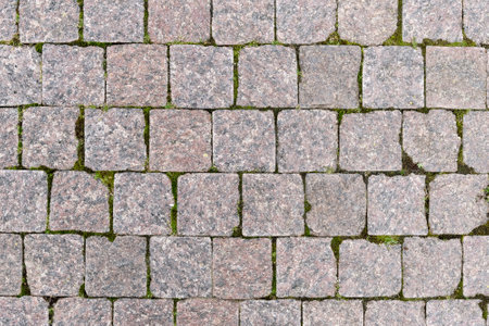 Granite pavement made of square stones, overgrown with mossの写真素材