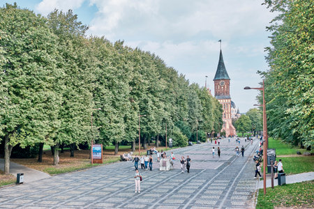 People walking in park alley on island of Immanuel Kant leading to Cathedral. Travel conceptのeditorial素材