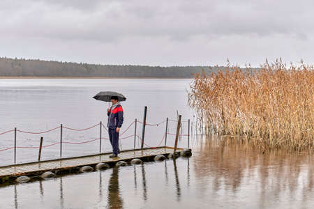 Asian man walking under umbrella on wooden pier on autumn rainy gray day over of backdrop of lake and forest.の写真素材