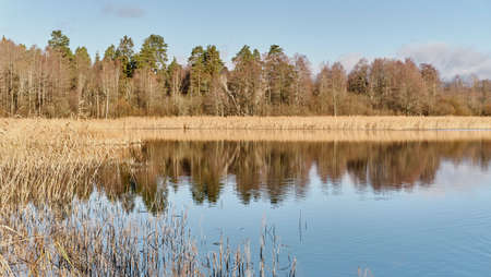 Scenic calm lake with mirrored water surface, surrounded by dry reed grass and forest on sunny day.の写真素材