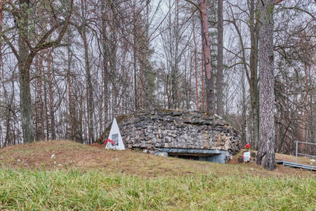 Luga, Russia. Memorial on line on the defence of 1941. Pillbox which was used as defence facility.のeditorial素材