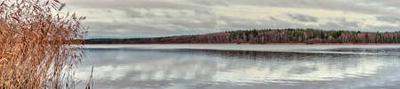 Quiet calm lake on shore of which there forest with birch and conifers.Dry reed grassの写真素材