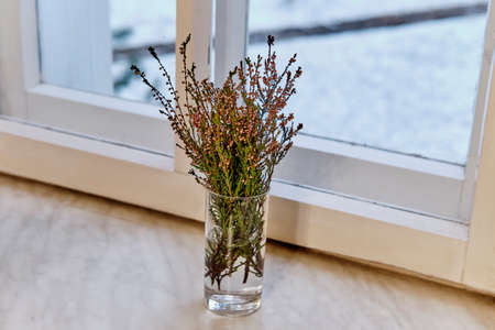 Autumn still life of heather twigs with flowers in transparent glass of water,standing on windowsillの写真素材