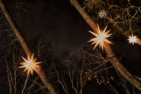 Abstract winter dark background with glowing electric lamps - stars on bare tree branches.
