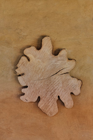 Wooden flat slice of unusual form and clay wall as abstract background.の写真素材