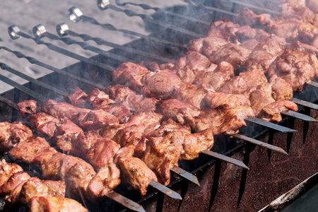 Pork kebab cooking on skewers on open fire at barbecue grill in park.の写真素材
