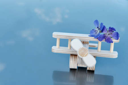 Wooden toy aircraft with flowers, standing on glossy surface reflecting sky.