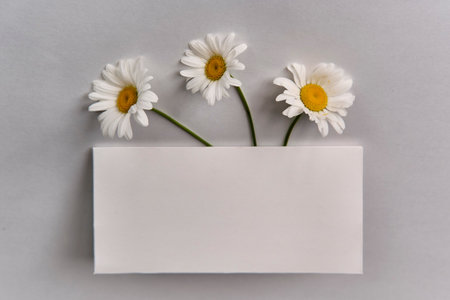 Summer still life. Greeting mockup scene on gray background. Blank paper, daisy flowers.