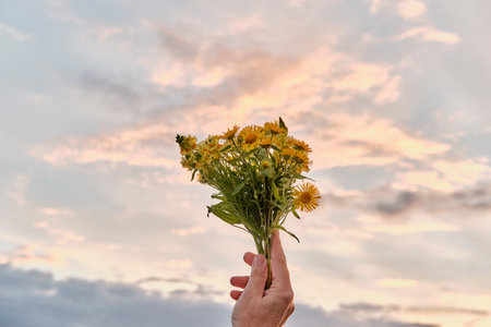 Small bouquet of yellow wild wildflowers in hand of senior woman over sunset sky background.